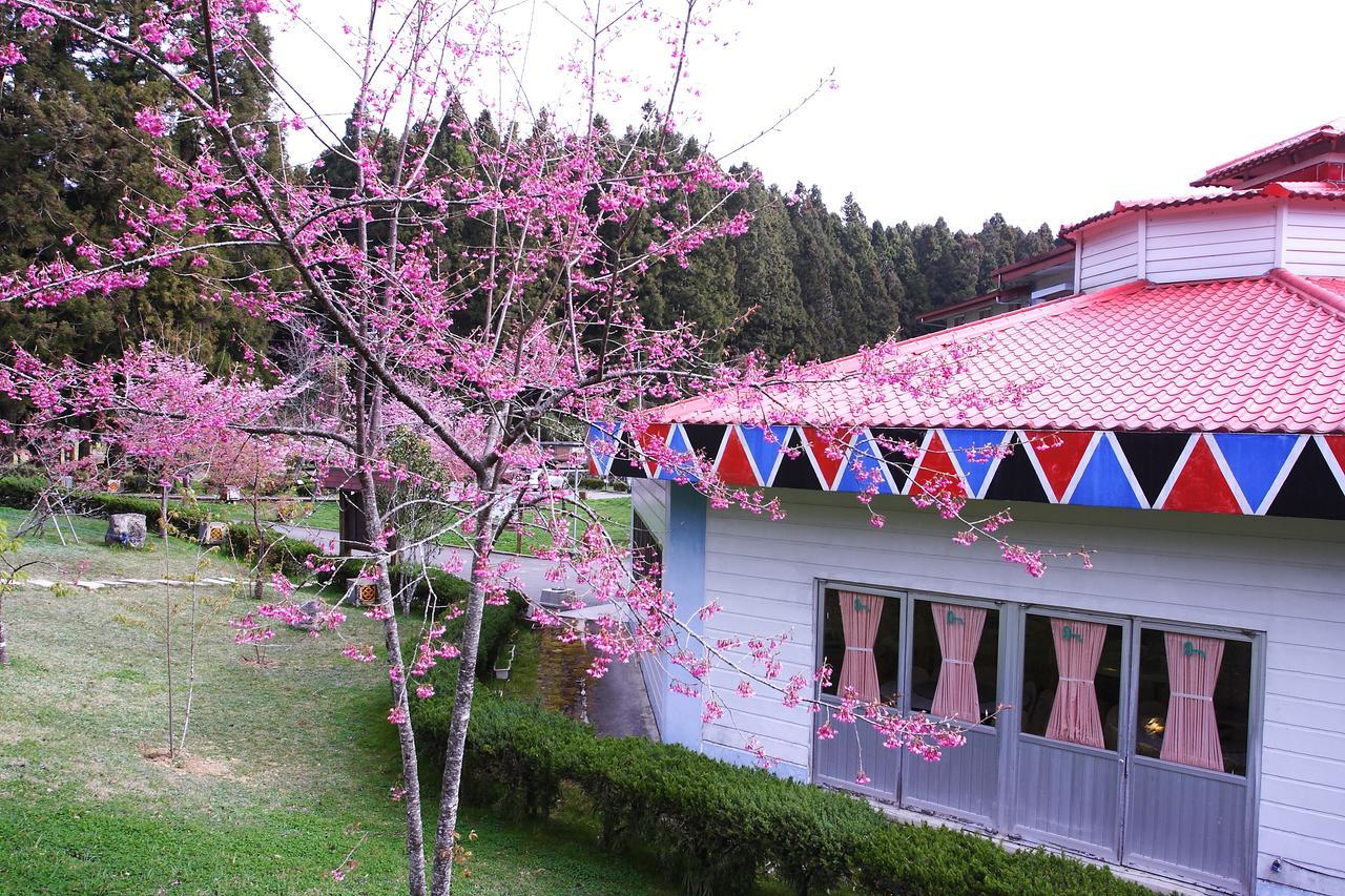 Alishan Youth Activity Center Zhongzheng  Esterno foto