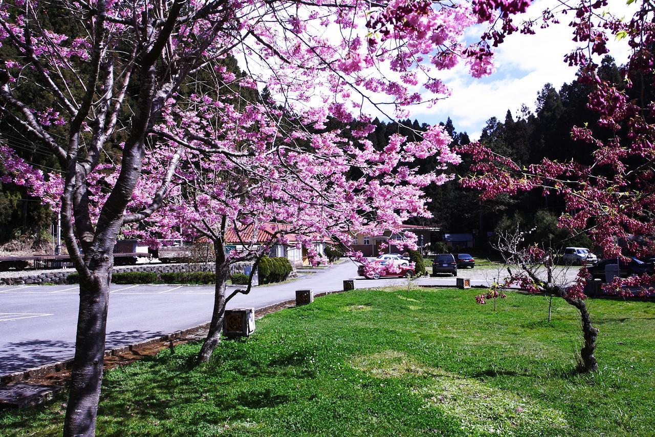Alishan Youth Activity Center Zhongzheng  Esterno foto